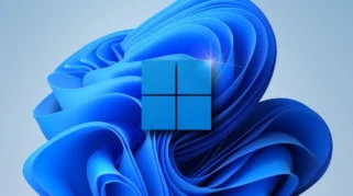 windows 11 (1)